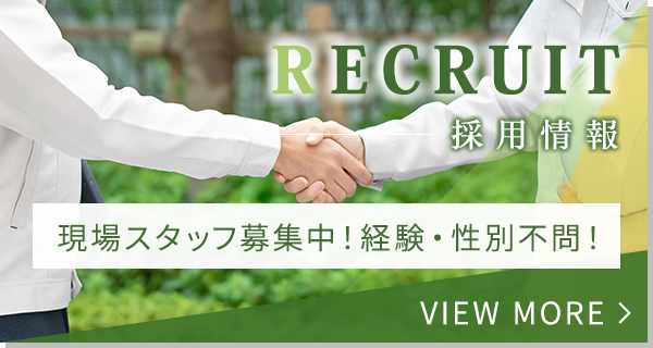 採用情報